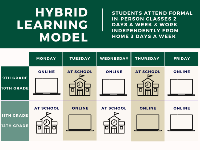 hybrid learning model